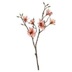 Clearance Branche Artistique Magnolia Fleurs Individuelles