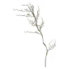 Clearance Branche Artistique Mousse Idées De Cadeaux
