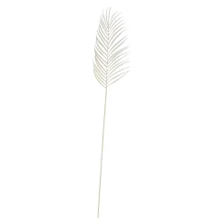 Store Branche Artistique Palm Fleurs Individuelles