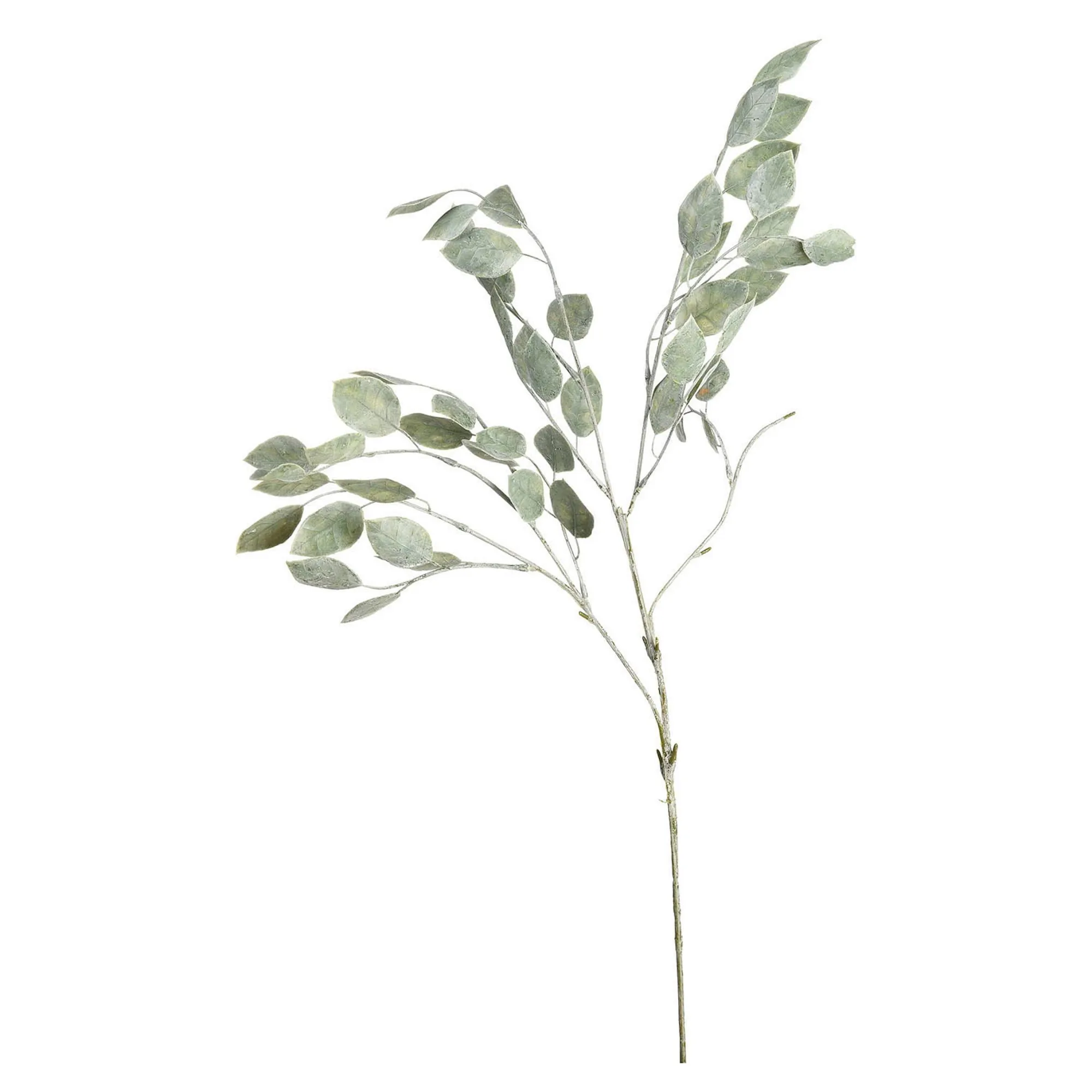 Fashion Branche Artistique Robinia Fleurs Individuelles