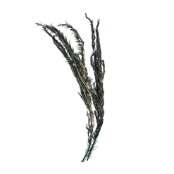 Hot Branche De Fleurs Sechees Romarin Fleurs Individuelles