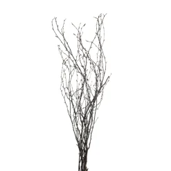 Store Branche Naturelle Scintillante Idées De Cadeaux