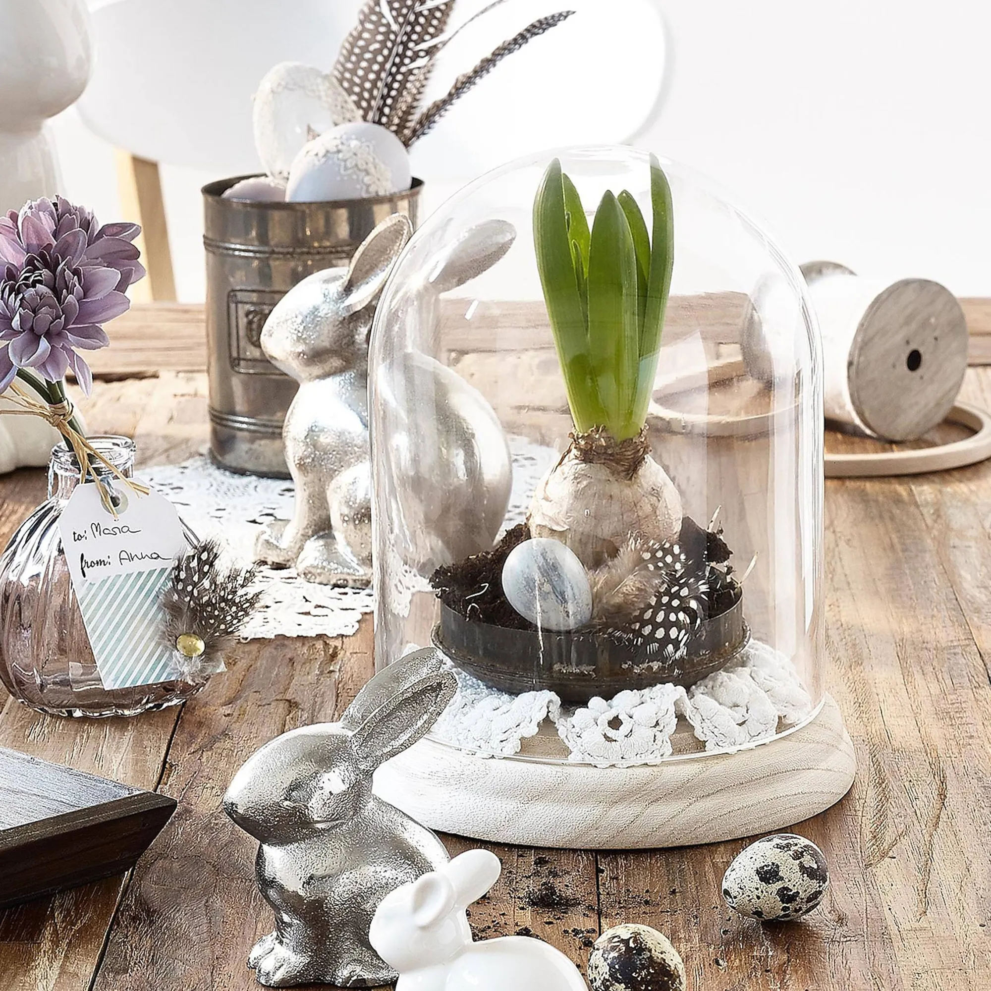 Shop Cloche En Verre Vaisselle De Service