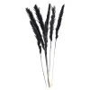 Clearance Fagot Sec D'Herbe De La Pampa Fleurs Individuelles