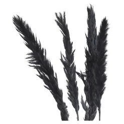 Clearance Fagot Sec D'Herbe De La Pampa Fleurs Individuelles