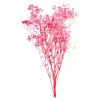 Flash Sale Fagots Secs De Gypsophile Fleurs Individuelles
