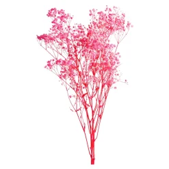 Flash Sale Fagots Secs De Gypsophile Fleurs Individuelles