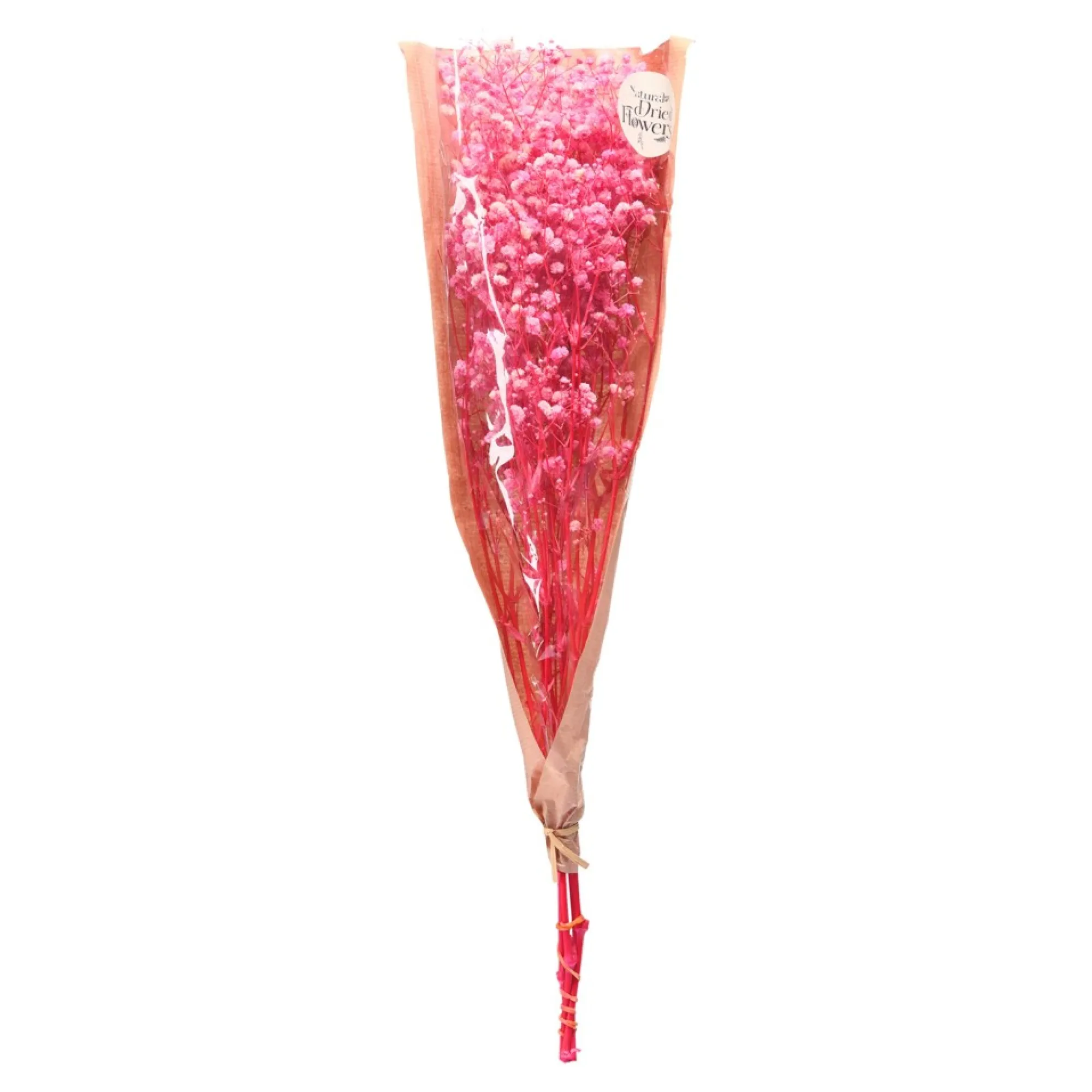 Flash Sale Fagots Secs De Gypsophile Fleurs Individuelles