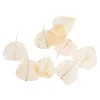 Cheap Feuilles De Squelette Sechees Idées De Cadeaux