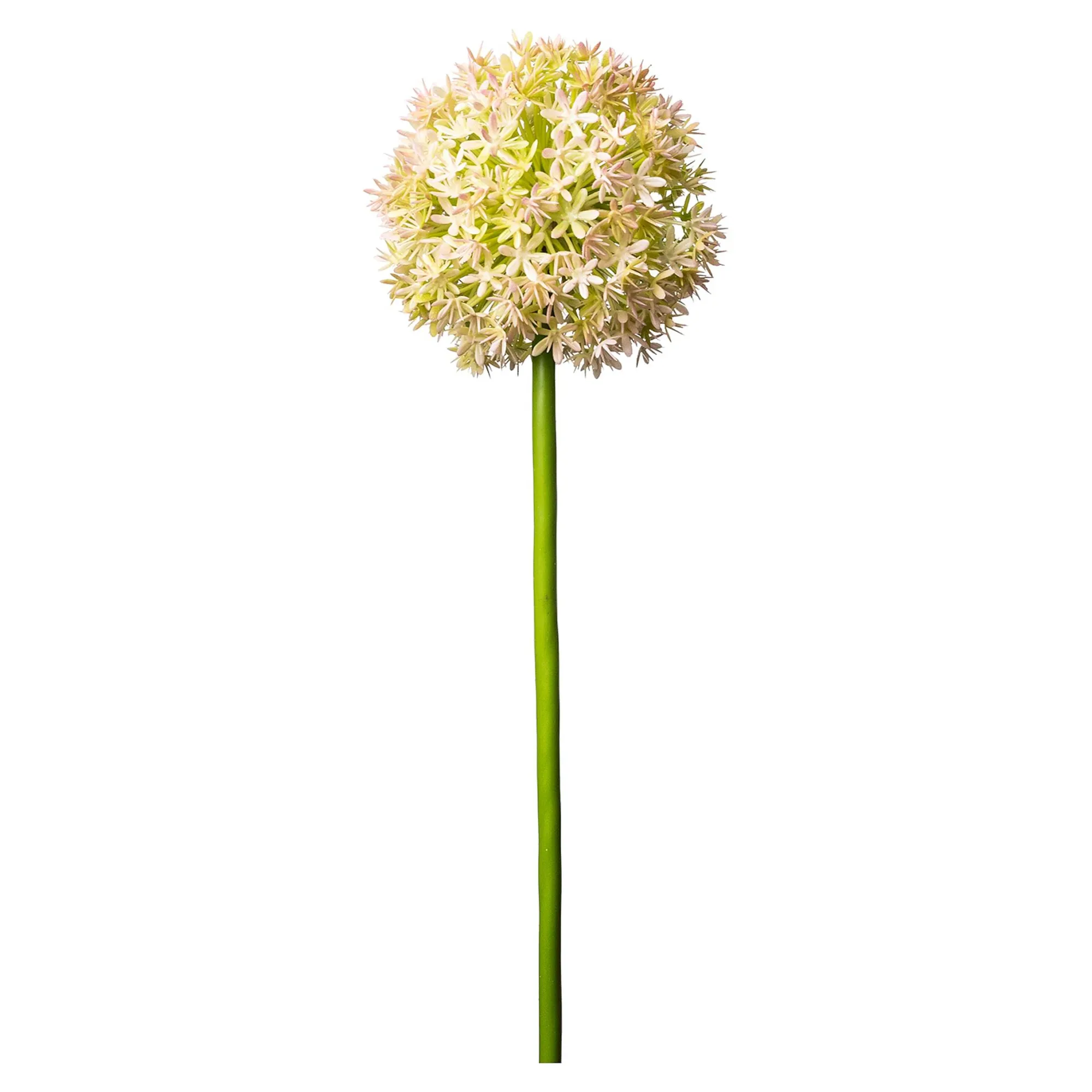 Shop Fleur De Tige Artificielle Allium Fleurs Individuelles