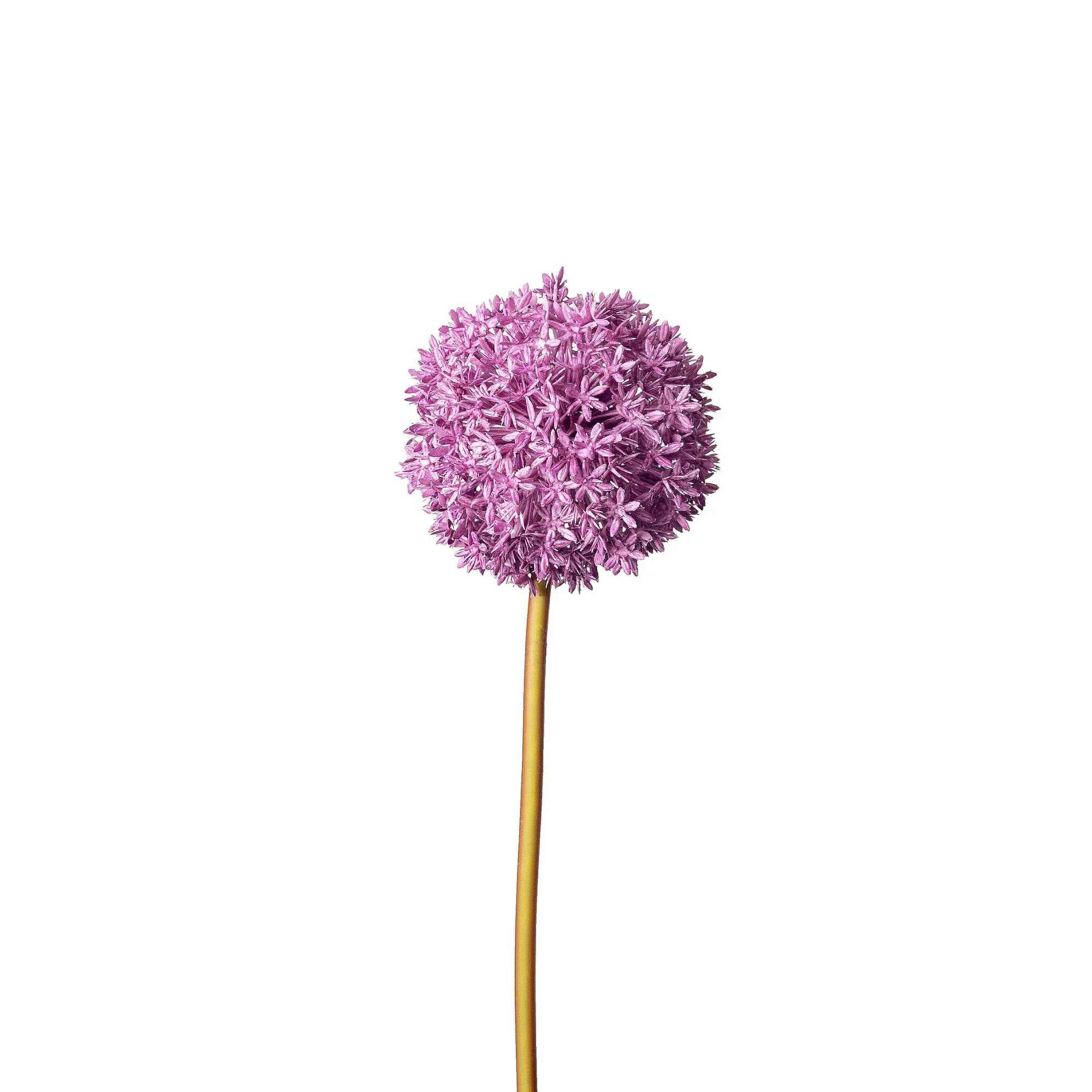 Flash Sale Fleur De Tige Artificielle Allium Fleurs Individuelles