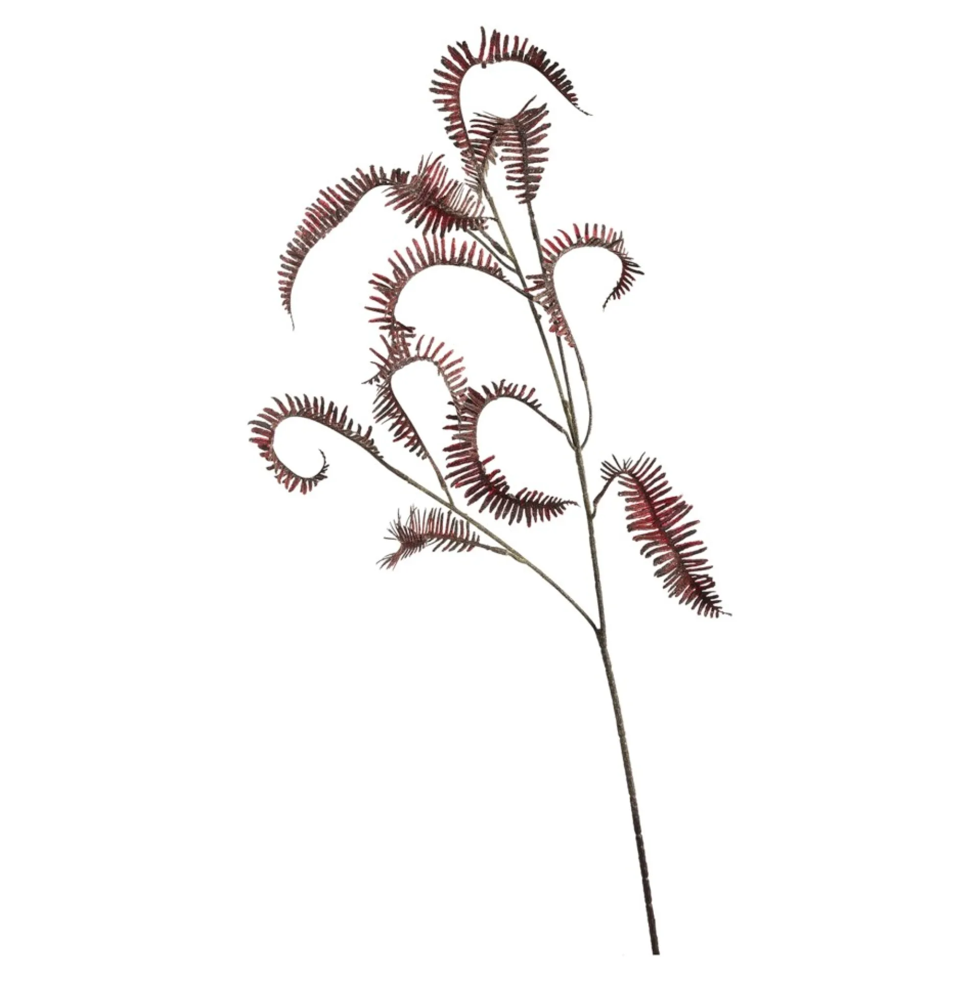 Store Fleur De Tige Artificielle Fougere D'Autruche Fleurs Individuelles