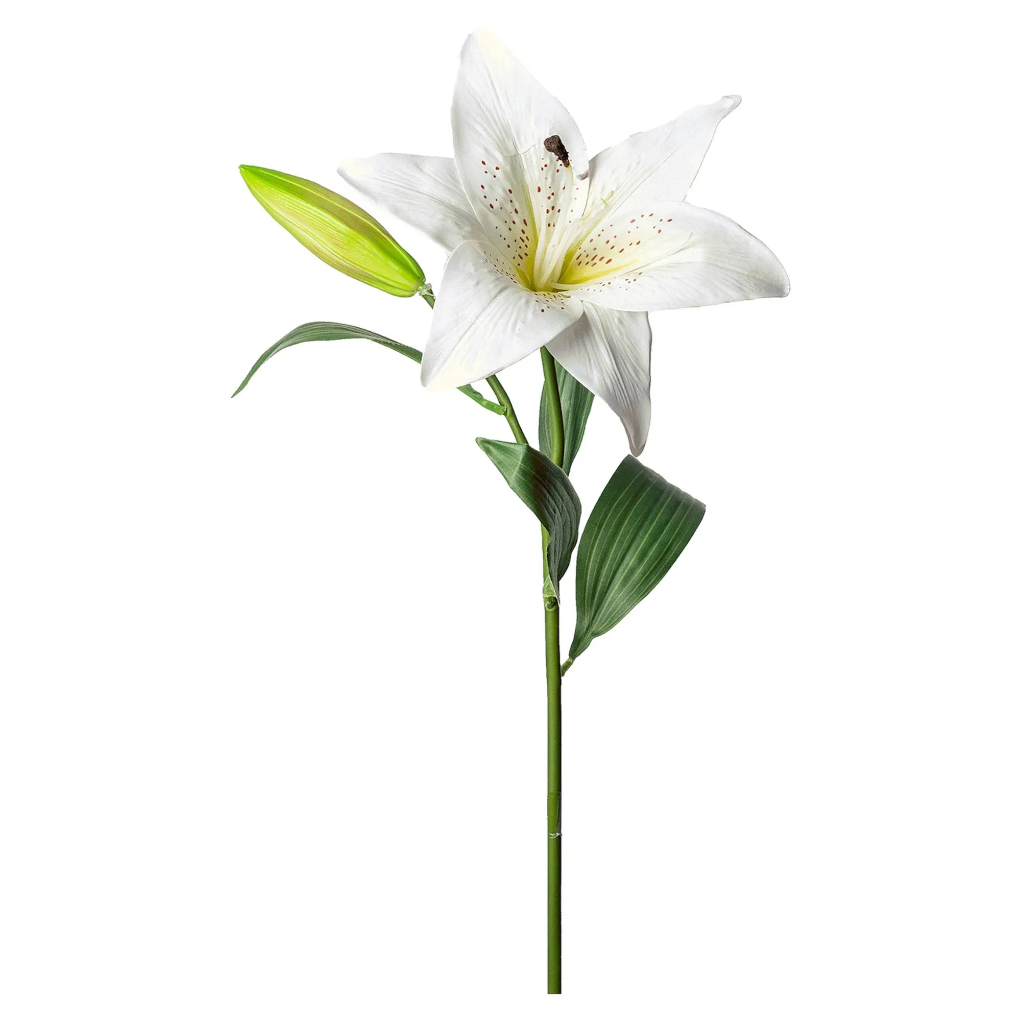 Cheap Fleur De Tige Artificielle Lys Fleurs Individuelles