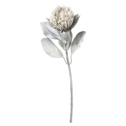 Outlet Fleur De Tige Artificielle Protea Fleurs Individuelles
