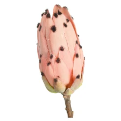 Hot Fleur De Tige Artificielle Protea Fleurs Individuelles