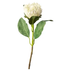 Fashion Fleur De Tige Artificielle Protea Fleurs Individuelles