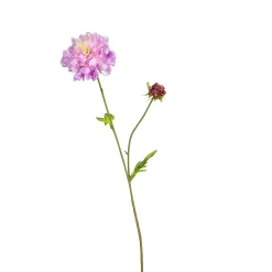 Flash Sale Fleur De Tige Artificielle Scabiosa Fleurs Individuelles