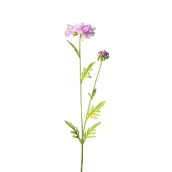 Flash Sale Fleur De Tige Artificielle Scabiosa Fleurs Individuelles