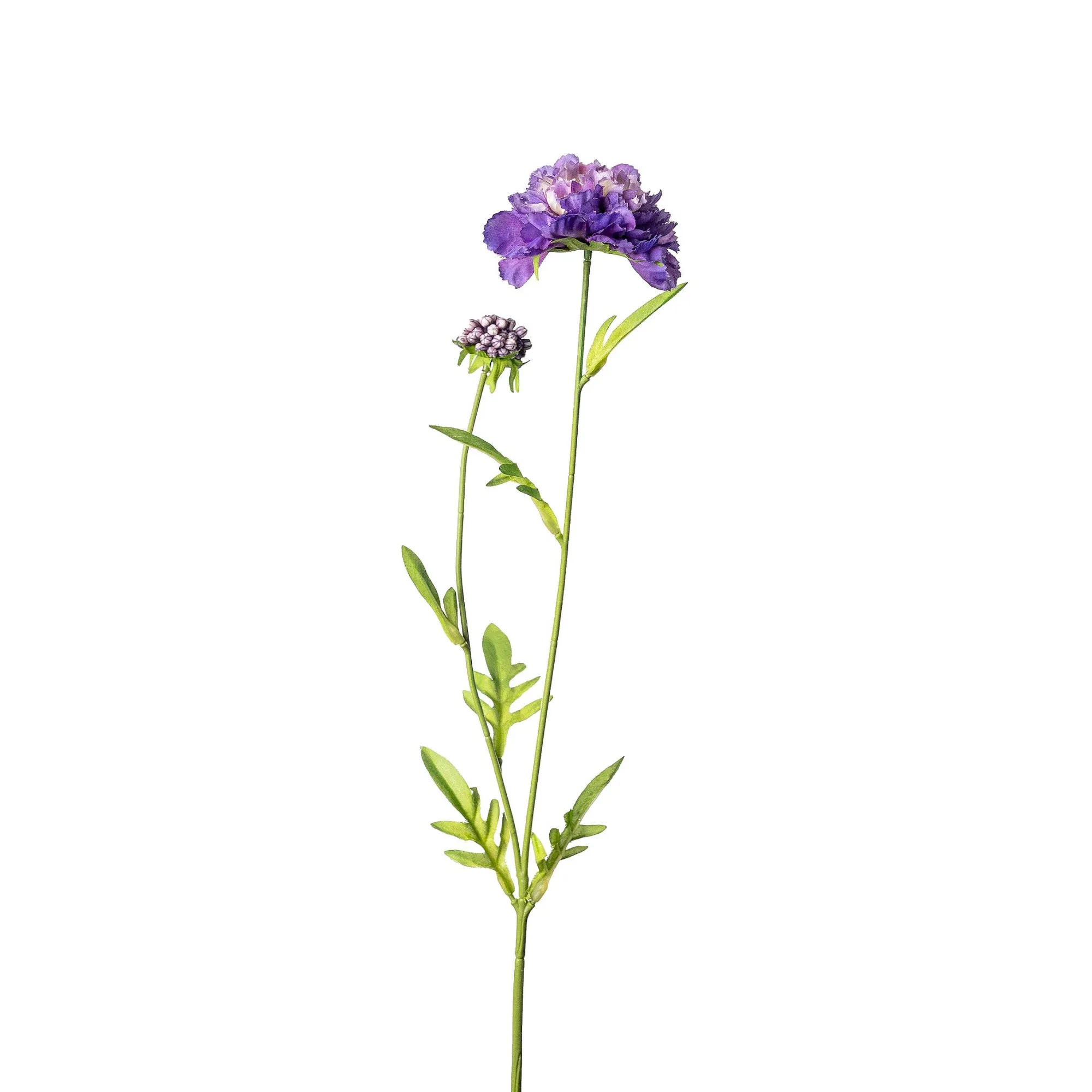 Shop Fleur De Tige Artificielle Scabiosa Fleurs Individuelles