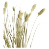 Fashion Fleur Sechee Canari Fleurs Individuelles