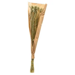 Fashion Fleur Sechee Canari Fleurs Individuelles