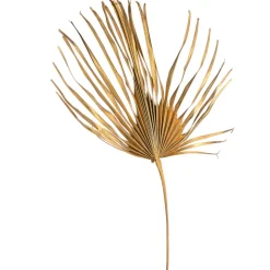 Fashion Fleur Sechee Feuille De Palmier Xxl Idées De Cadeaux