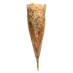 Store Fleur Sechee Gypsophilia Fleurs Individuelles