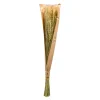 Outlet Fleur Sechee Orge Fleurs Individuelles