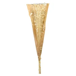 Discount Fleur Sechee Pois Paternoster Idées De Cadeaux