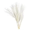 Clearance Fleur Seche Roseau Idées De Cadeaux