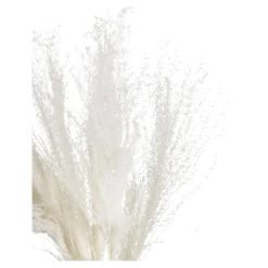 Clearance Fleur Seche Roseau Idées De Cadeaux