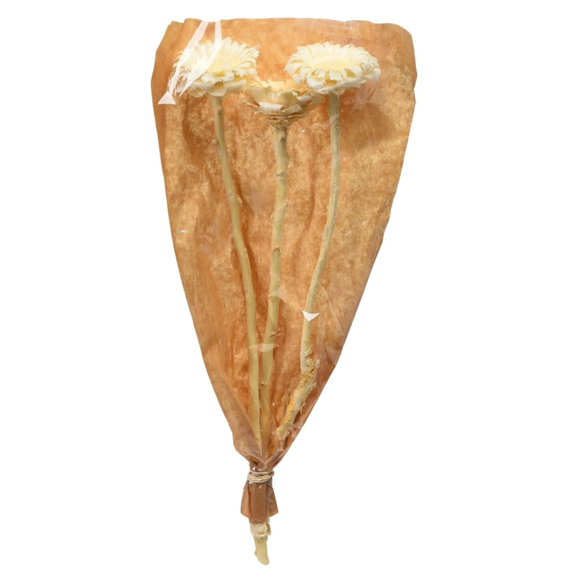 Online Fleurs Sechees Fleur De Protee Fleurs Individuelles