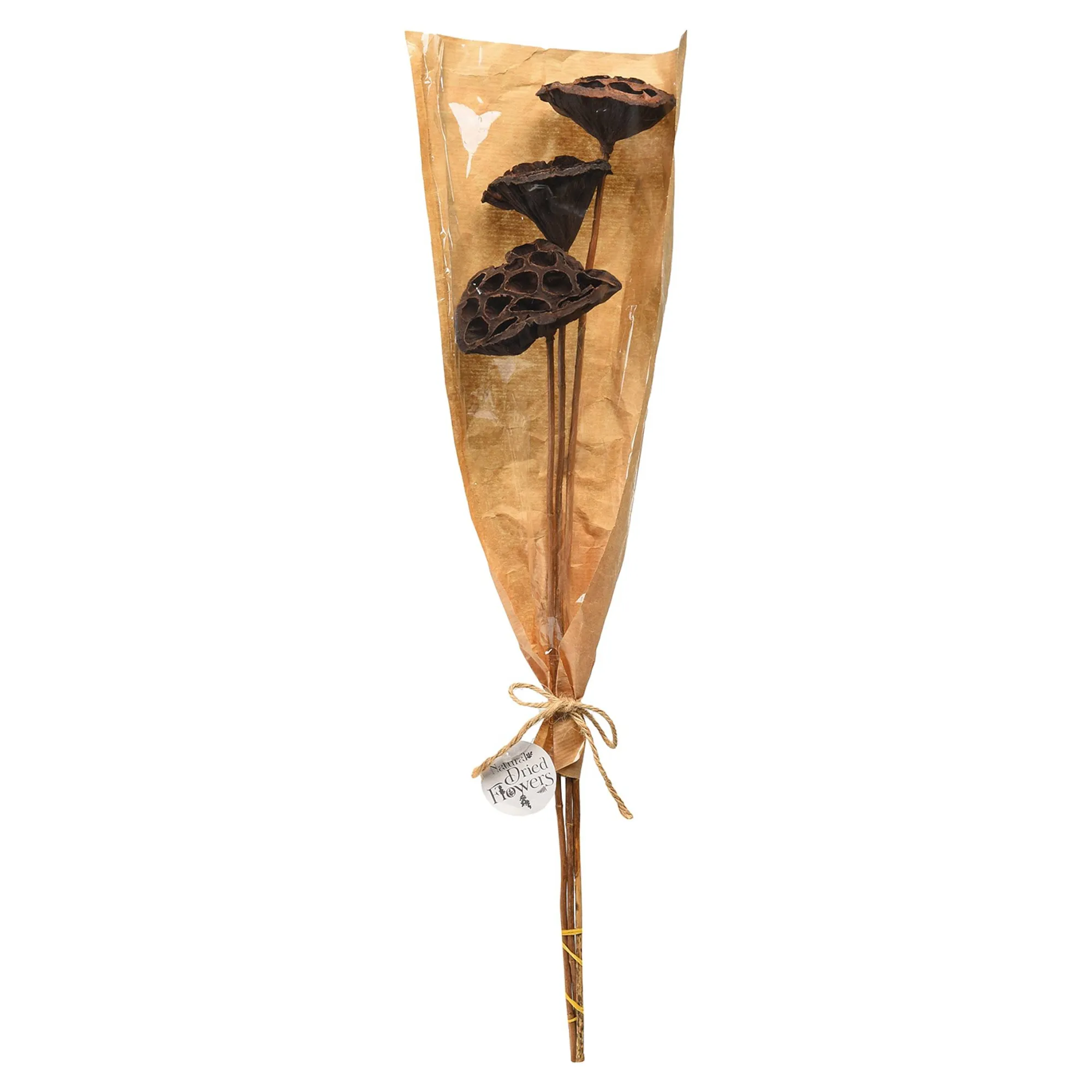 Discount Fleurs Sechees Lotus Fleurs Individuelles