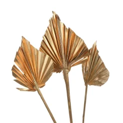 Best Sale Fleurs Sechees Palmleaf Idées De Cadeaux