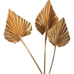 Clearance Fleurs Sechees Palmleaf Idées De Cadeaux
