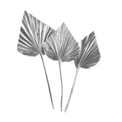 Best Sale Fleurs Sechees Palmleaf Idées De Cadeaux