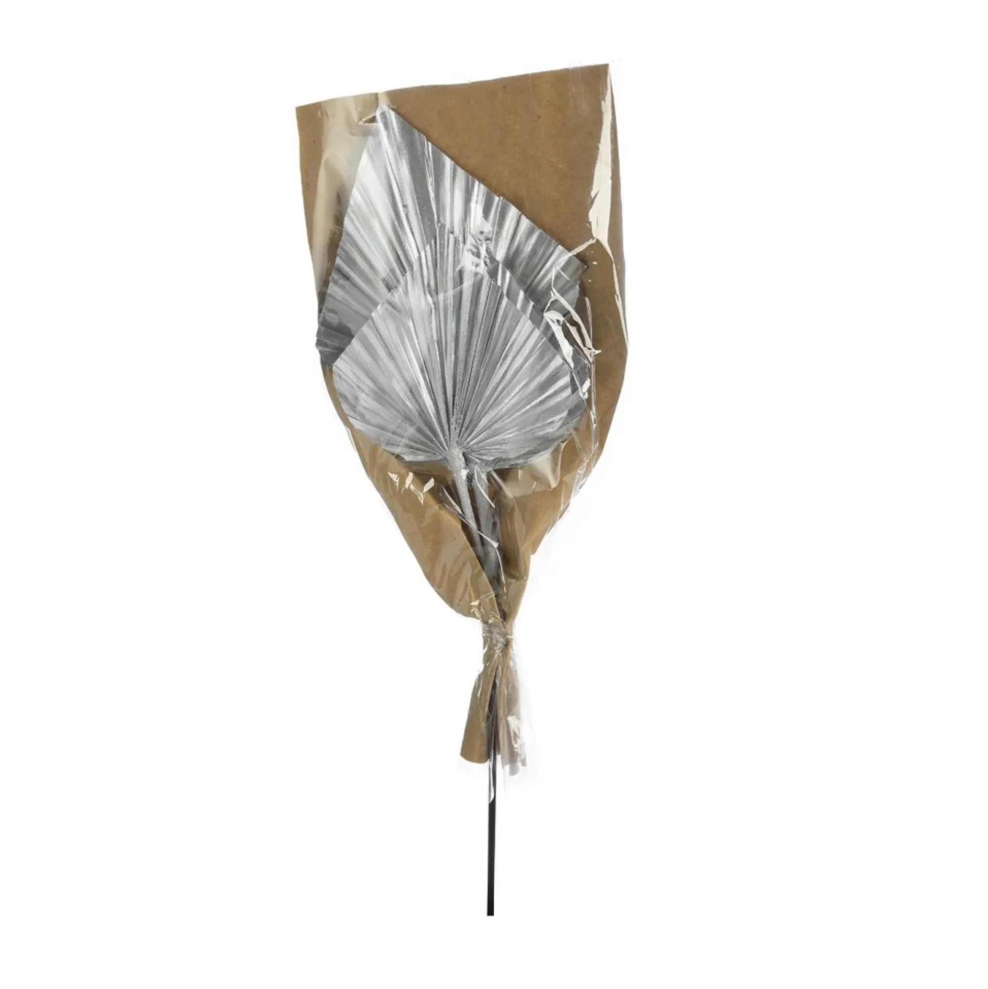 Best Sale Fleurs Sechees Palmleaf Idées De Cadeaux