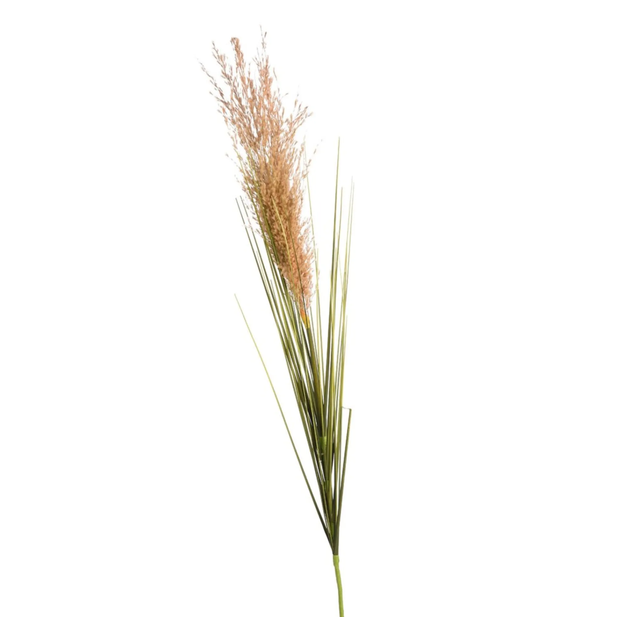 Sale Herbe De La Pampa Artificielle Fleurs Individuelles