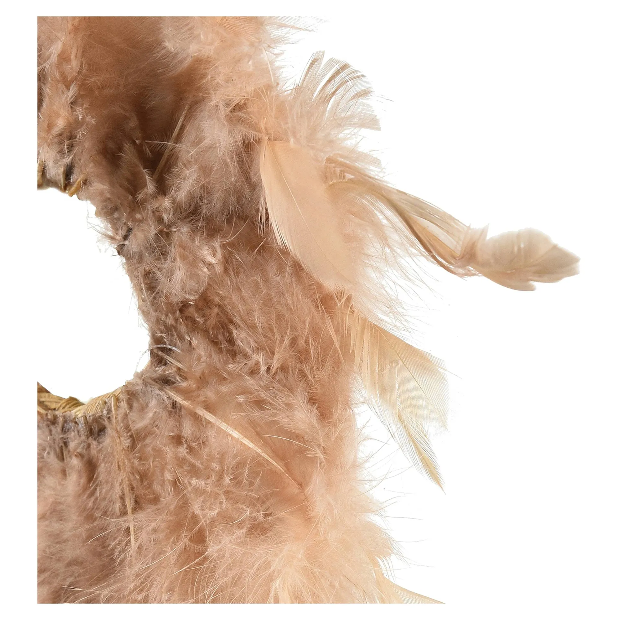 Store Mini-Couronne De Plumes Couronnes
