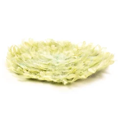 Clearance Objet De Décoration Murale Feather Figurines & Objets