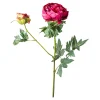 Sale Pediculaire Artificiel Paonie Fleurs Individuelles