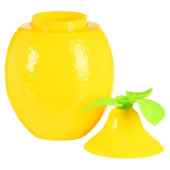 Fashion Recipient A Boisson Citron Idées De Cadeaux