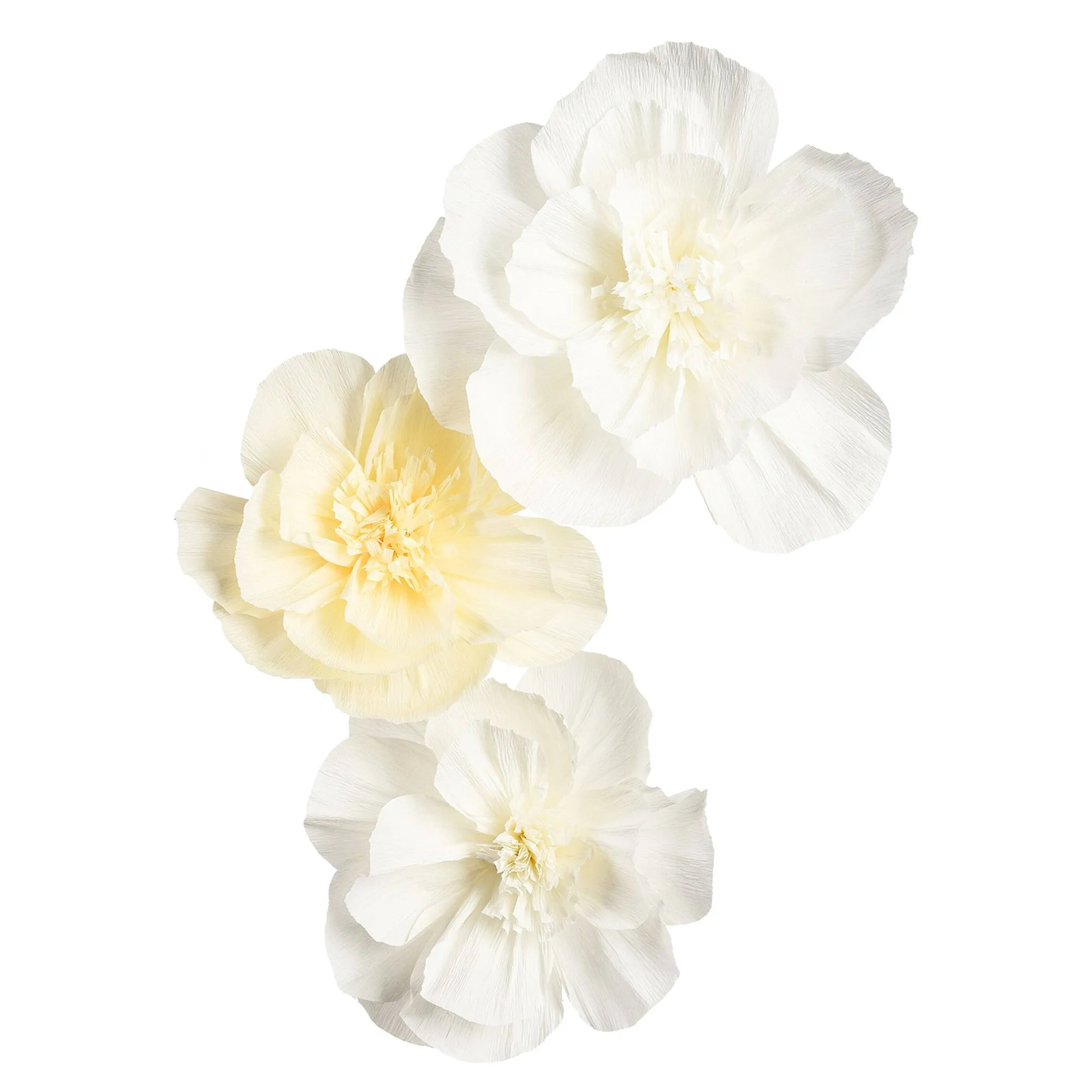 Outlet Set De Fleurs En Papier Crepe Décoration De Fete