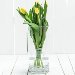 Outlet Vase Tao Vases