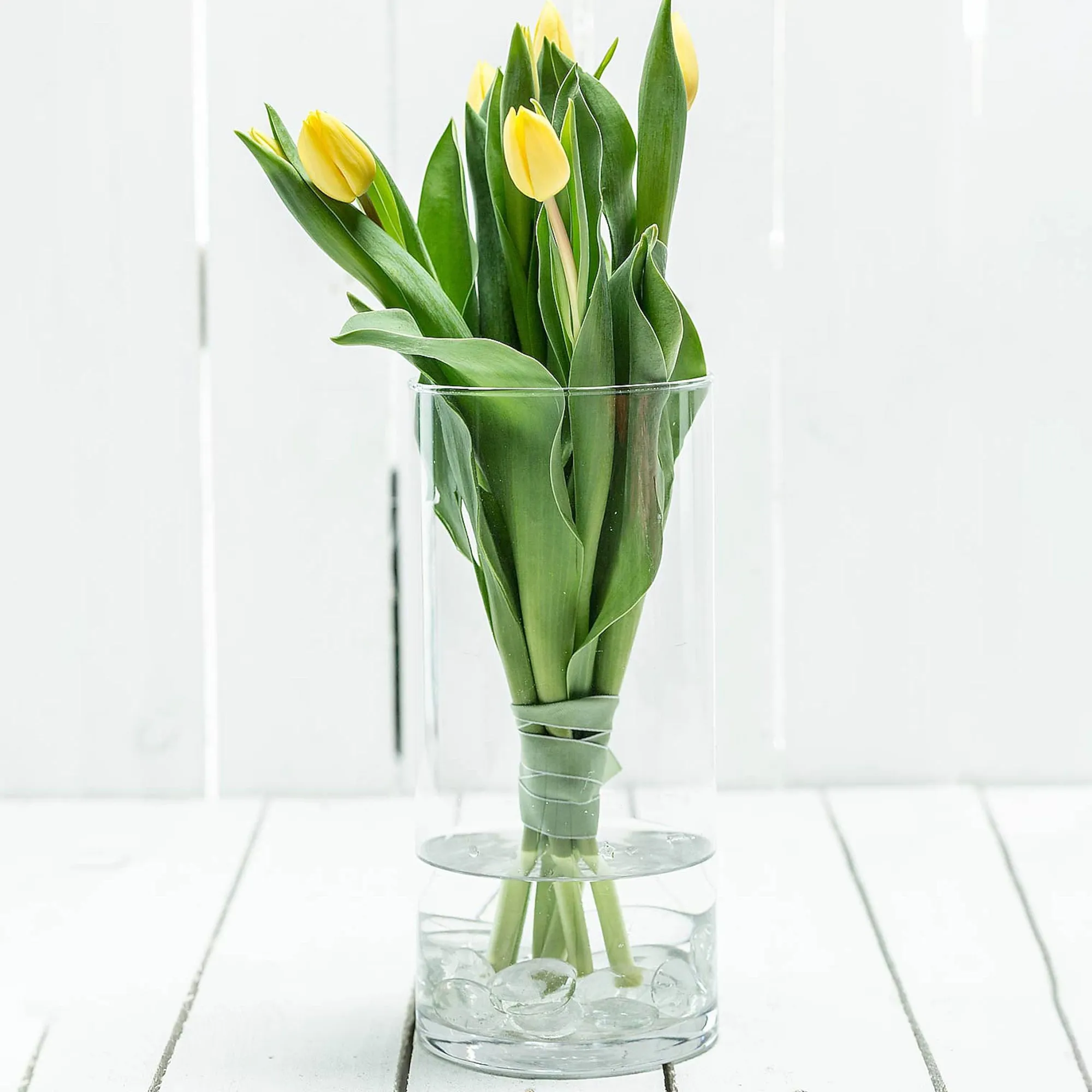 Outlet Vase Tao Vases