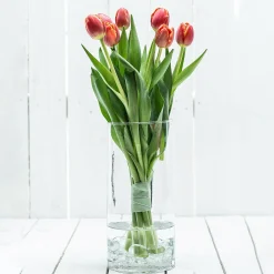 Outlet Vase Tao Vases