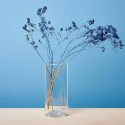 Outlet Vase Tao Vases