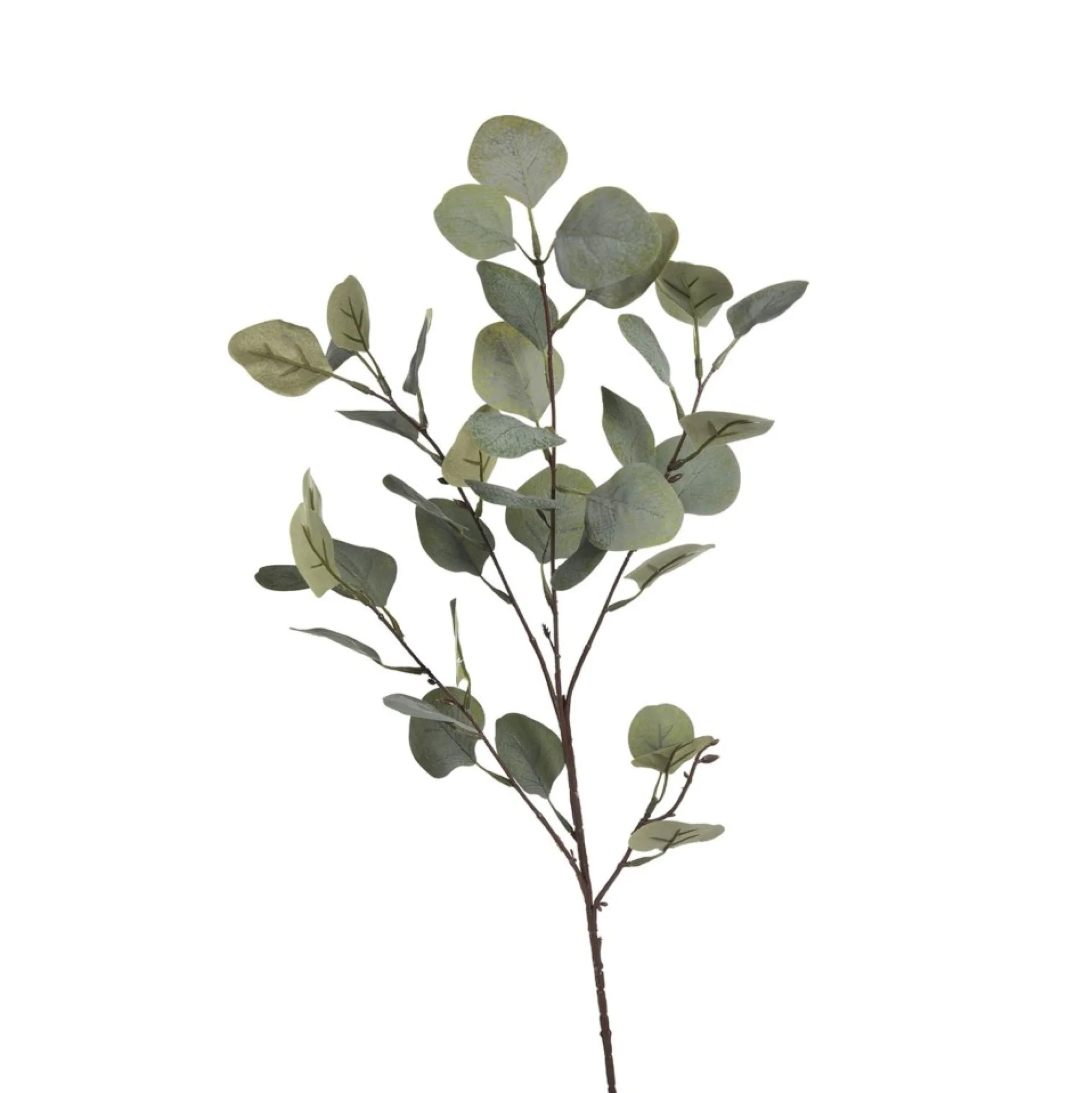 Store Zweig Eukalyptus Ca.73Cm Fleurs Individuelles