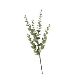 Online Zweig Eukalyptus Modern Ca.74Cm, Creme Fleurs Individuelles