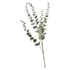 Online Zweig Eukalyptus Modern Ca.74Cm, Creme Fleurs Individuelles